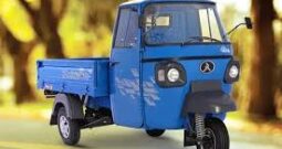 Bajaj Maxima XL Cargo E-TEC 12.0